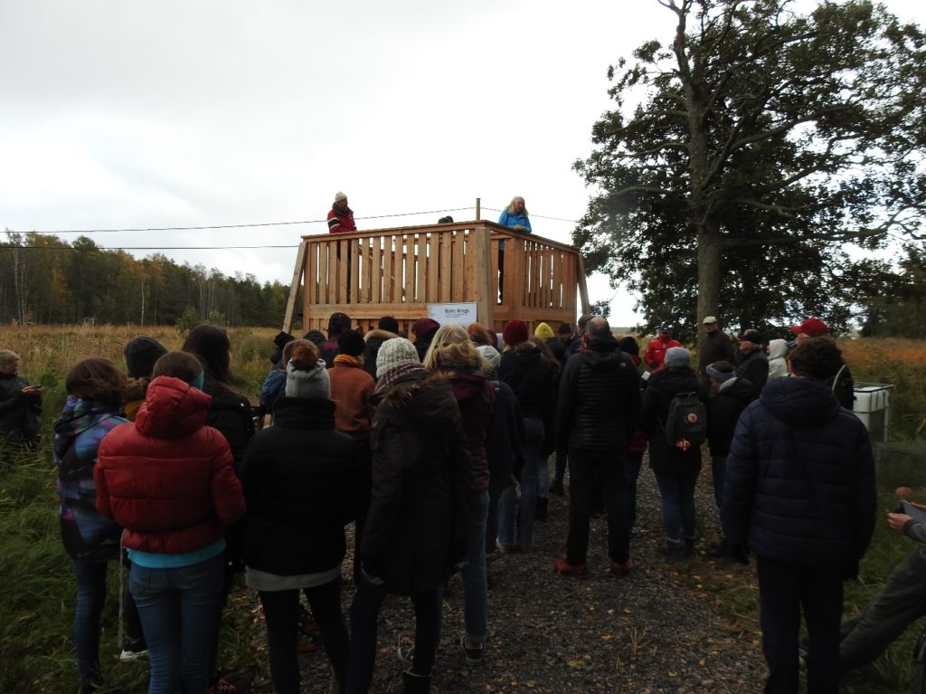 En folksamling står framför fågeltornet. Uppe i tornet står Tiina Lantee.