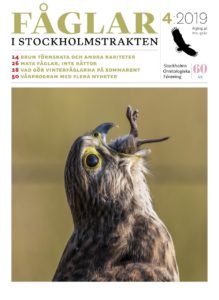 tidningsomslag
