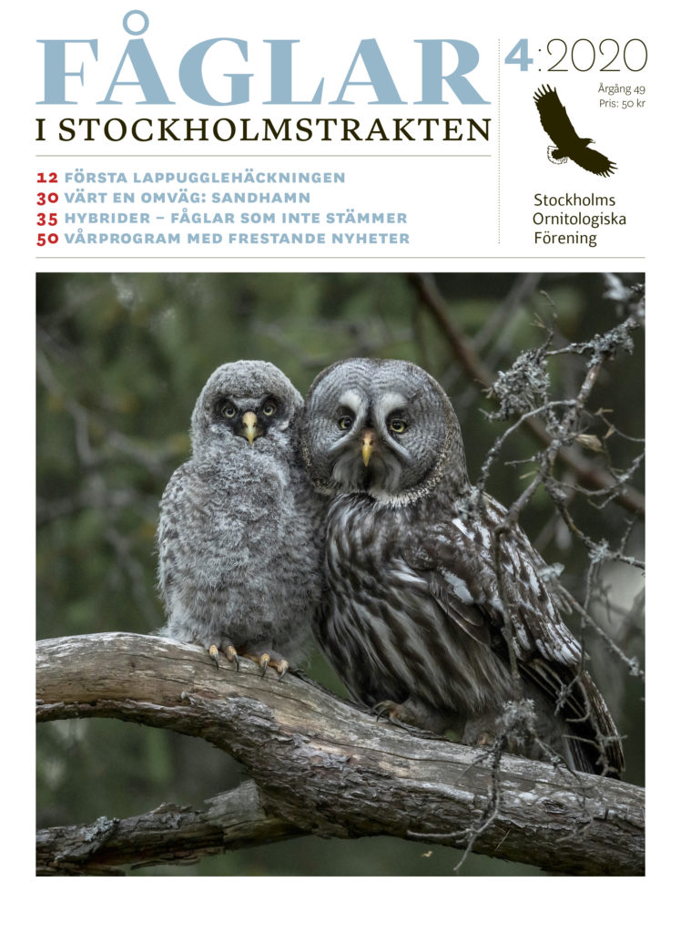 Tidningsomslag